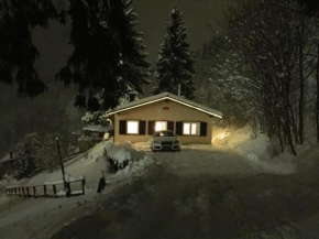 Отель Schöne Aussicht, Санкт-Андреасберг